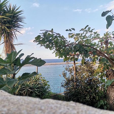 Loft Sul Mare Daire Balestrate Dış mekan fotoğraf