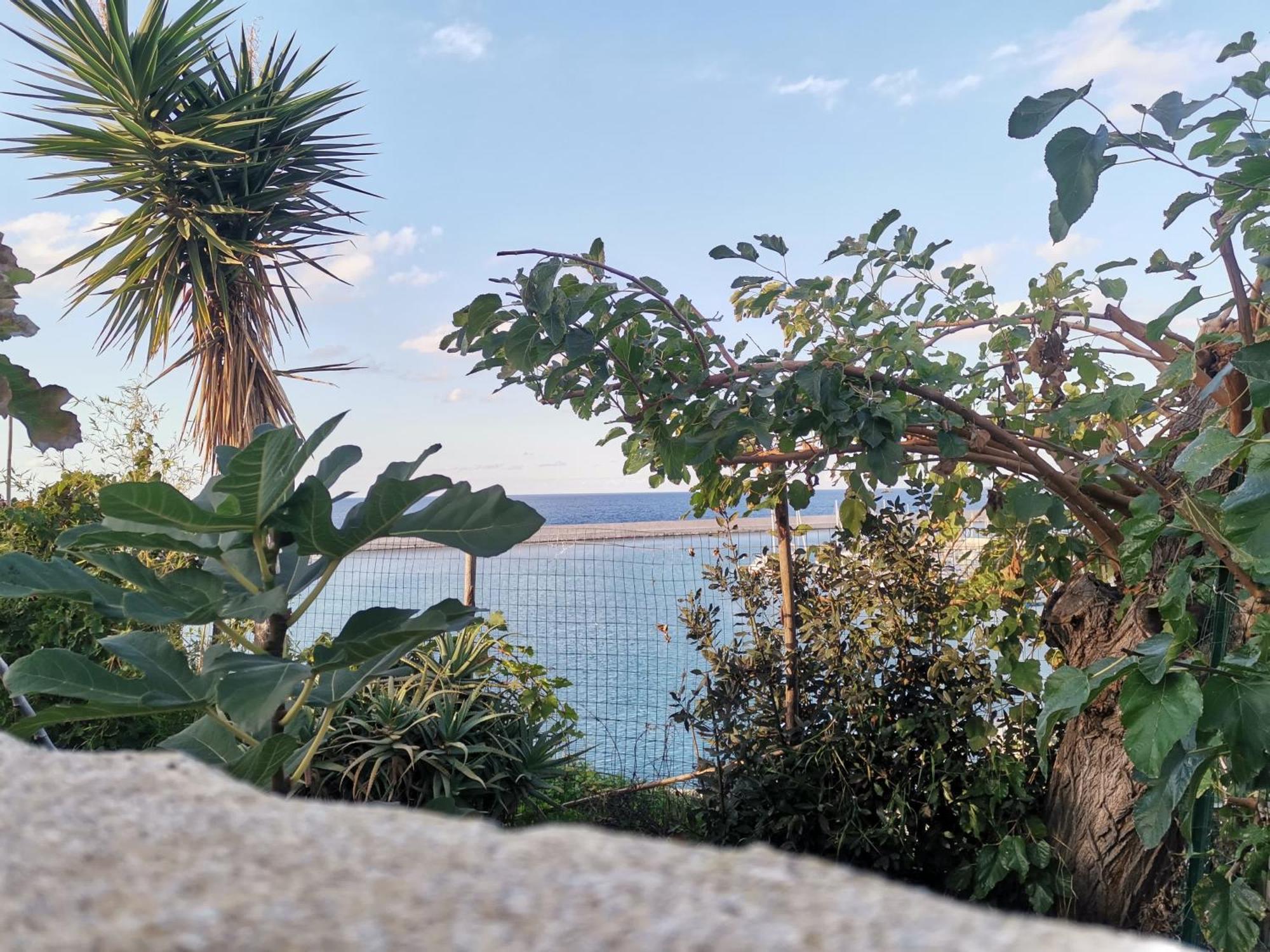 Loft Sul Mare Daire Balestrate Dış mekan fotoğraf